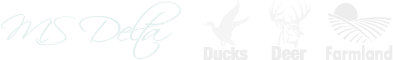 MS Delta Ducks